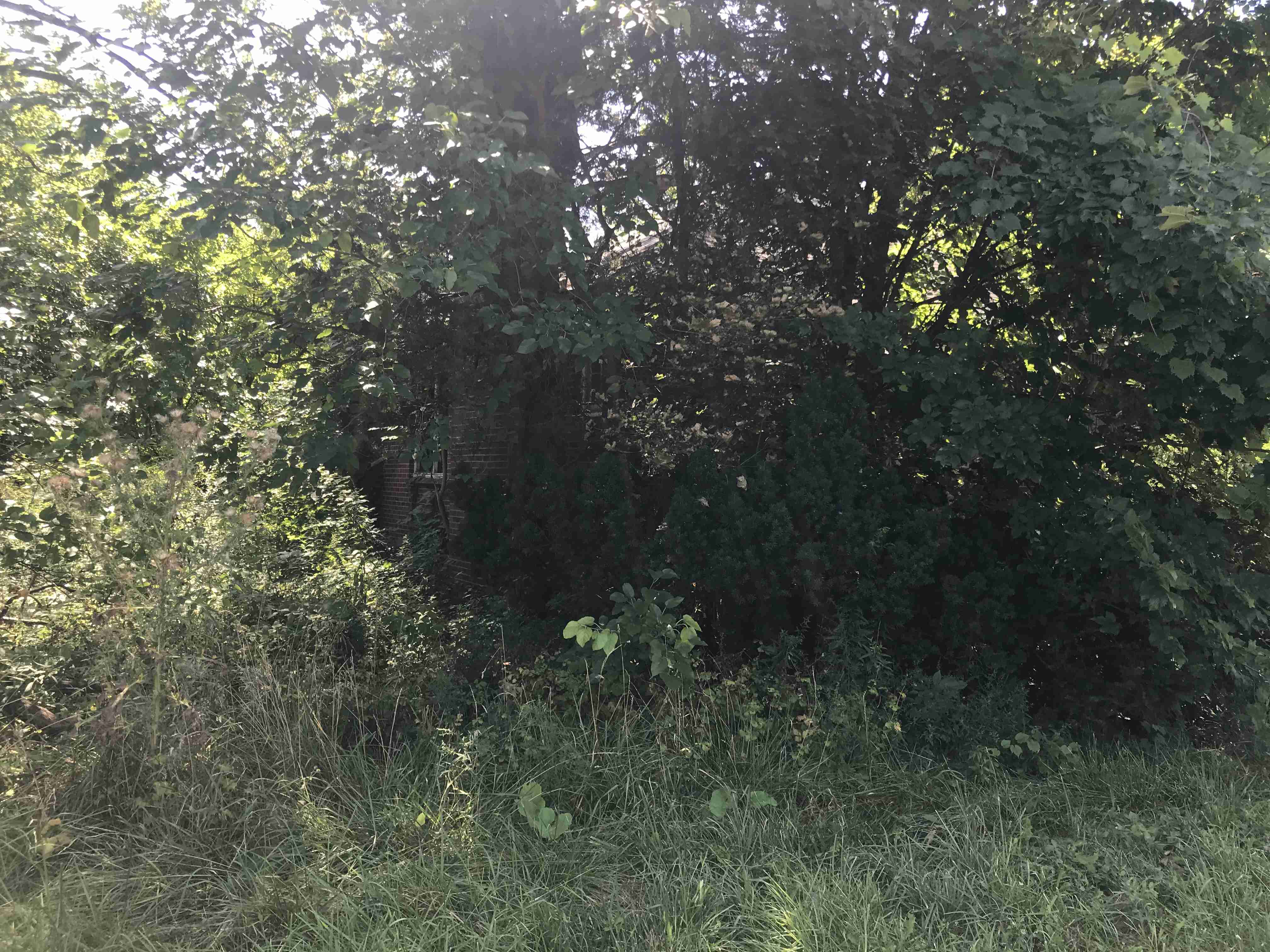 Photo Aug 21, 1 13 10 PM.jpg